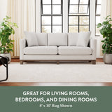 Vintage Oriental Cream and Beige Area Rug